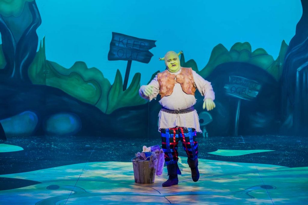 Shrek the Musical. Stage lighting by Daniel Creasey of Congo Design.