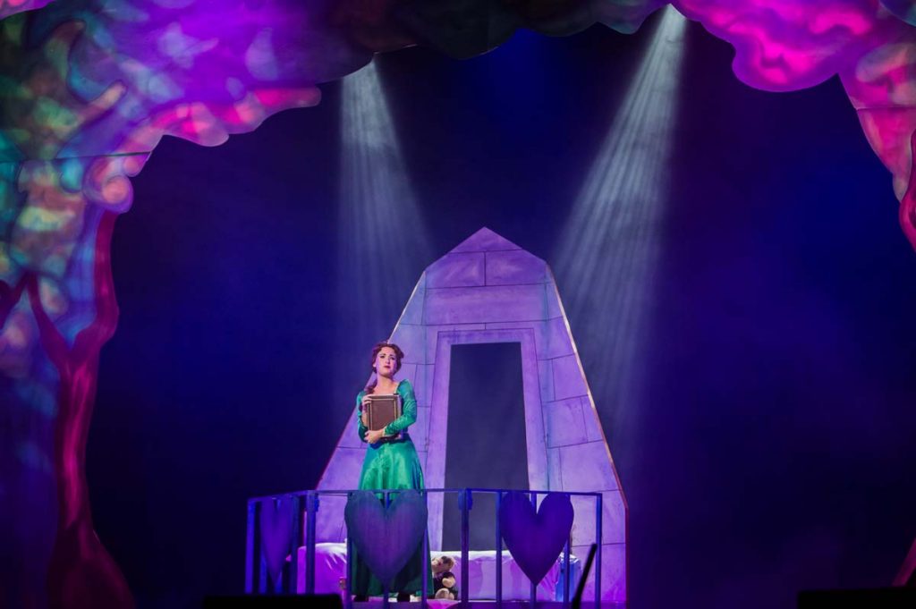 Shrek the Musical. Stage lighting by Daniel Creasey of Congo Design.